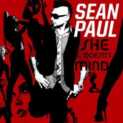 Обложка трека 'Sean PAUL - She Doesn't Mind'