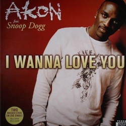 Обложка трека 'AKON ft. SNOOP DOGG - I Wanna Love You'