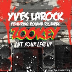 Обложка трека 'Yves LAROCK & AFRICANISM - Zookey (rmx)'