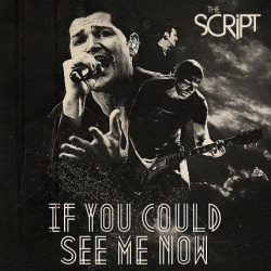 Обложка трека 'The SCRIPT - If You Could See Me Now'