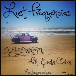 Обложка трека 'Lost Frequencies & Easton Corbin - Are You With Me'