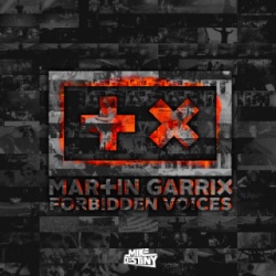 Обложка трека 'Martin GARRIX - Forbidden Voices'