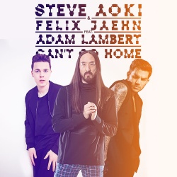 Обложка трека 'Steve AOKI & Felix JAEHN & Adam LAMBERT - Can't Go Home'