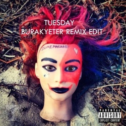 Обложка трека 'BURAK YETER & Danelle SANDOVAL - Tuesday'