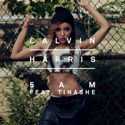 Обложка трека 'Calvin HARRIS & TINASHE - 5 AM'