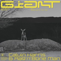 Обложка трека 'Calvin HARRIS & RAG N BONE MAN - Giant'