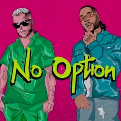 Обложка трека 'DJ SNAKE & BURNA BOY - No Option'