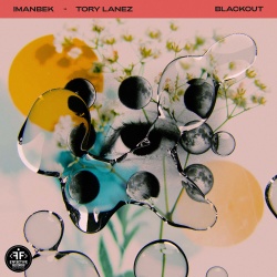 Обложка трека 'IMANBEK & Tory LANEZ - Blackout'