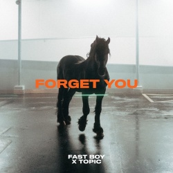 Обложка трека 'FAST BOY & TOPIC - Forget You'