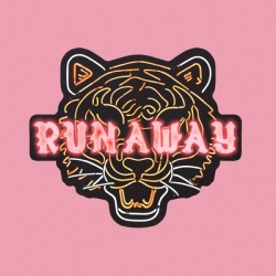 Обложка трека 'OneRepublic - Runaway'