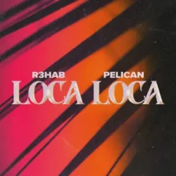 Обложка трека 'R3HAB & PELICAN - Loca Loca'