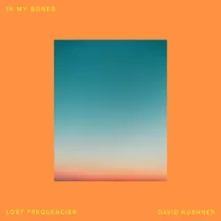 Обложка трека 'Lost Frequencies - In My Bones'